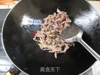 Dried Shredded Beef recipe