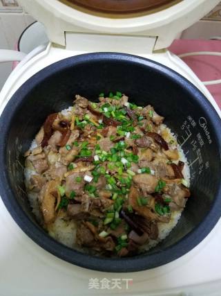 Pigeon Braised Rice (rice Cooker Version) recipe