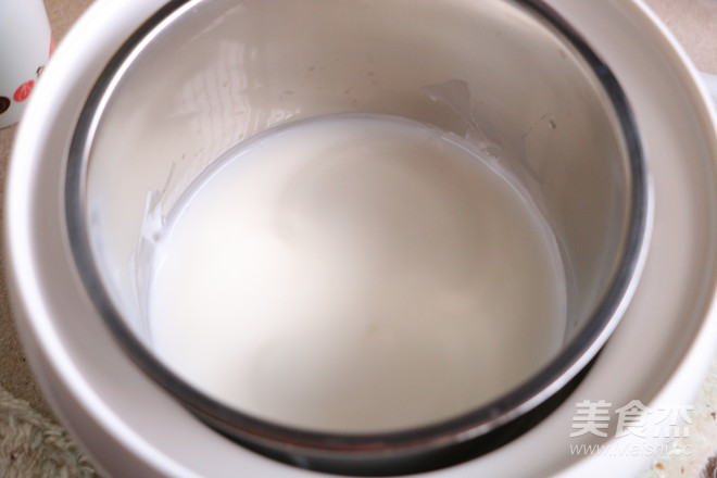 Homemade Honey Bean Yogurt recipe