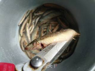 Stewed Loach recipe