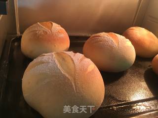 Honey Red Bean Buns recipe