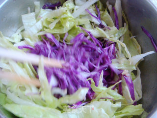 Lettuce and Purple Cabbage recipe