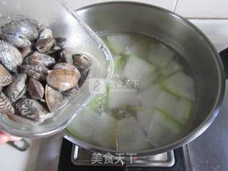 Clam and Winter Melon Soup recipe