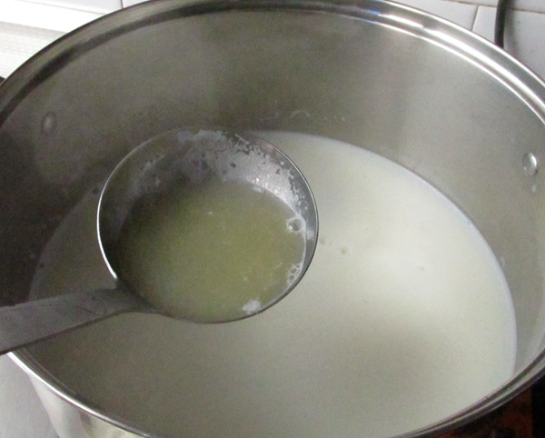 Open Cheese Sandwich recipe