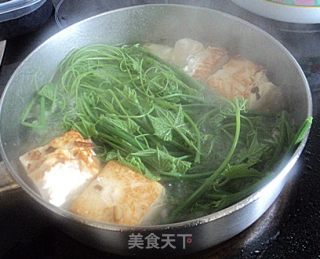 Stewed Tofu with Melon Seedlings recipe