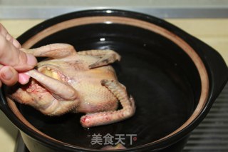 【chongcao Pigeon Soup】——a Good Product for Conditioning and Nourishing recipe