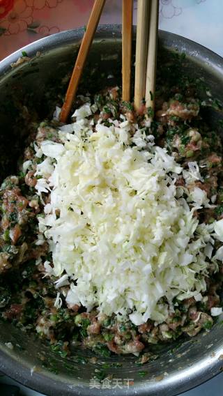 Dumplings Stuffed with Pork, Leek and Cabbage recipe