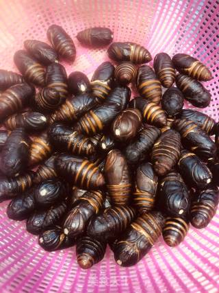 Fried Silkworm Pupa recipe