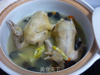 Stewed Pigeon with Gastrodia recipe