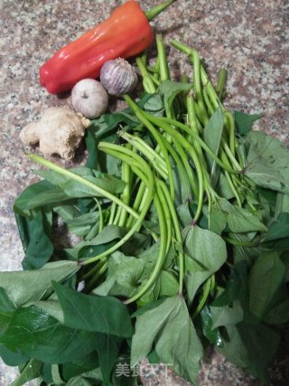 Garlic Sweet Potato Leaves recipe