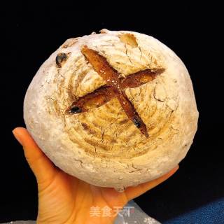 No Knead Nut Pack recipe