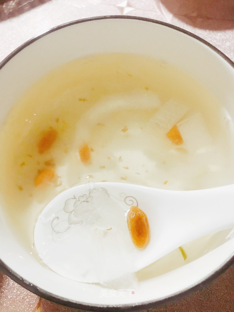 Snow Swallow Aloe Soup recipe