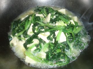 Braised Tofu with Cabbage recipe