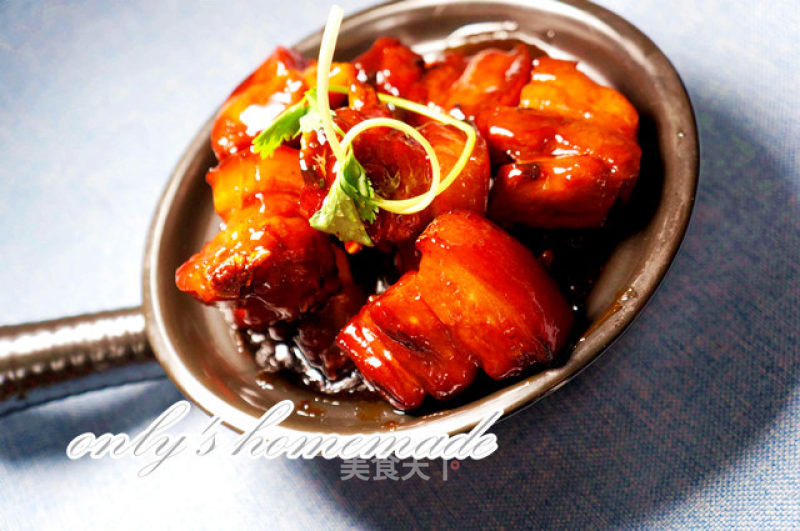 Braised Pork without Soy Sauce recipe