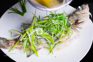 Steamed Fish, Perfect Tutorial recipe