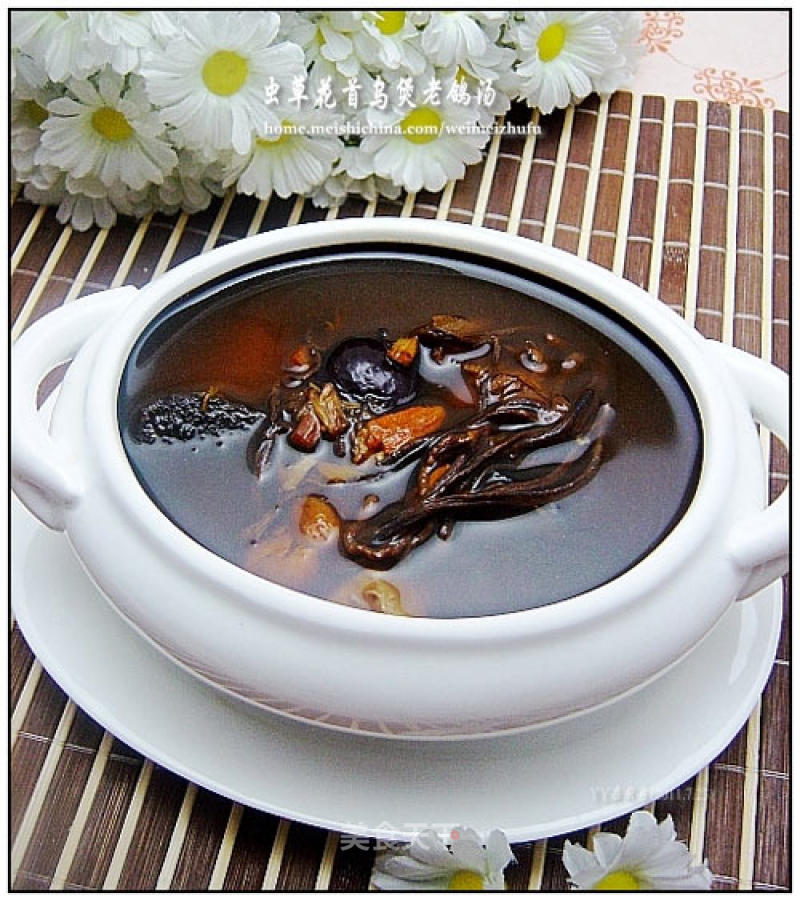 Old Pigeon Soup with Cordyceps Flower and Shouwu in Pot recipe