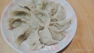 Purple Eggplant Dumplings recipe