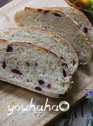 Cranberry Soft European Bread