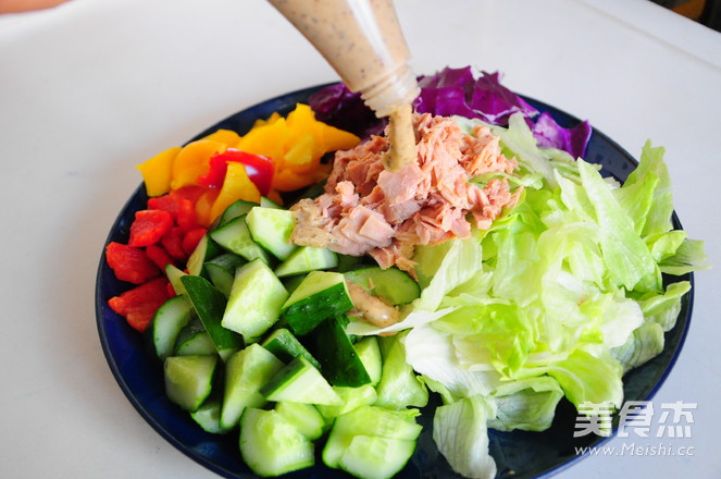 Tuna Vegetable Salad recipe