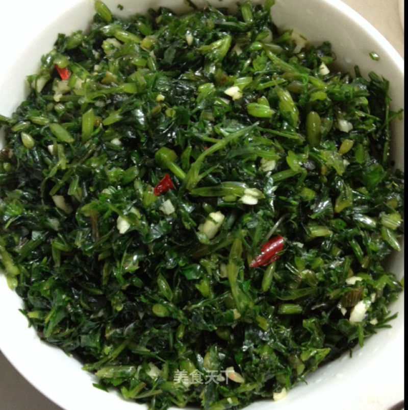 Coriander recipe