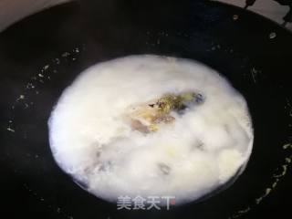 Milky White Crucian Fish Soup recipe