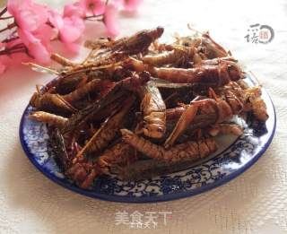 Fried Grasshopper recipe