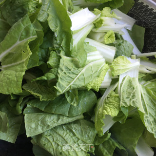 Cabbage with Oyster Sauce recipe