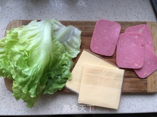 A Lot of Sandwiches recipe