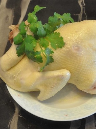 Cantonese Style White Sliced Chicken