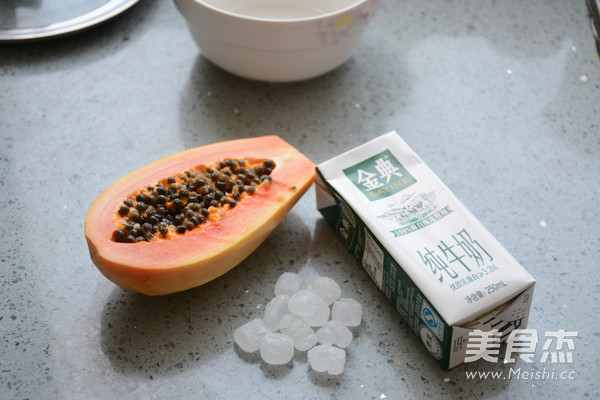 Papaya Milk recipe