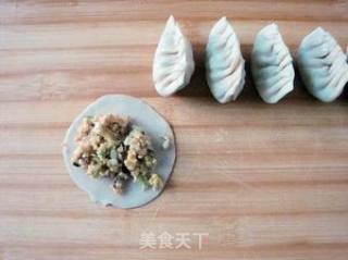 My Favorite Dumpling-vegetarian Dumplings recipe