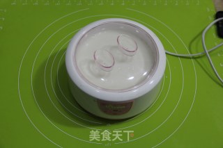 Homemade Yogurt Mixed with Oatmeal recipe