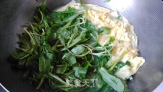 #春食野菜香#malantou Douban Egg Skin Soup recipe