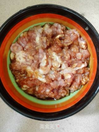 Fried Dumpling Stuffing recipe