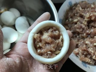 Fresh Meat Dumplings recipe