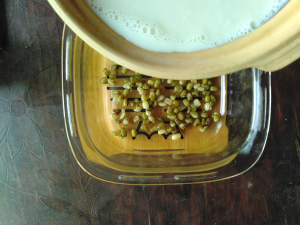 Linden Snow Honey Mung Bean Cake recipe