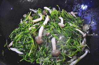 Acacia Pine Willow Crab Mushroom recipe