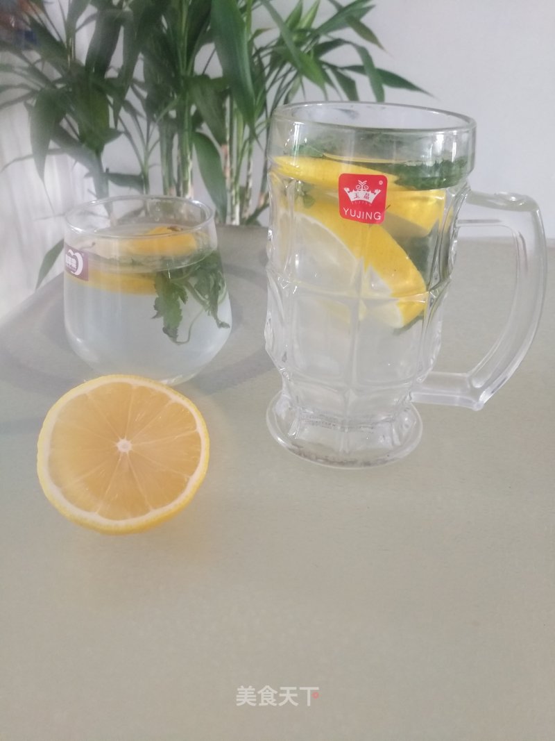 Lemon Mint Drink recipe