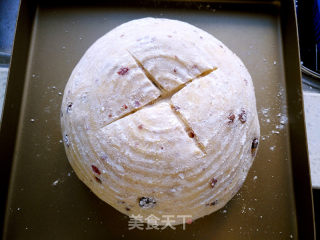 Cranberry Soft European recipe