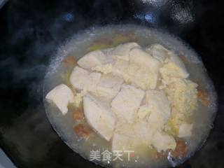 Braised Pork Frozen Tofu recipe