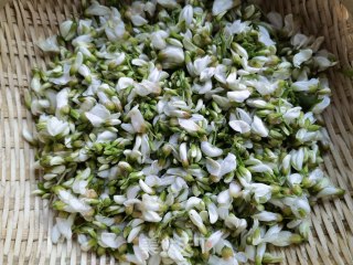 Stir-fried Sophora Japonica with Garlic Cloves and Pepper recipe