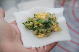 Steamed Dumplings with Cabbage and Shrimp, Suitable for One and A Half Year Old Baby recipe