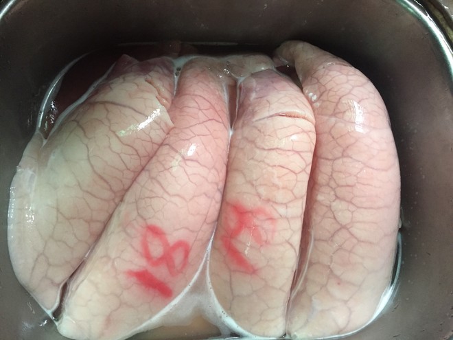 Washing Pig Lungs recipe