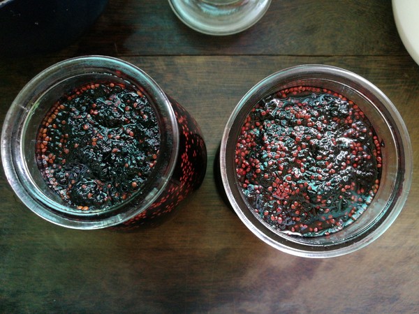 Mulberry Jam recipe