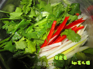 Tiger Vegetables (cucumber Coriander Chili) recipe