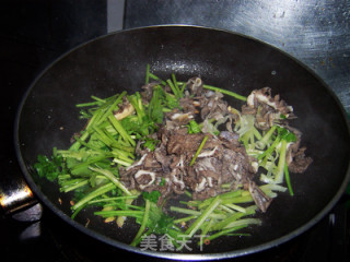 Coriander Louver recipe