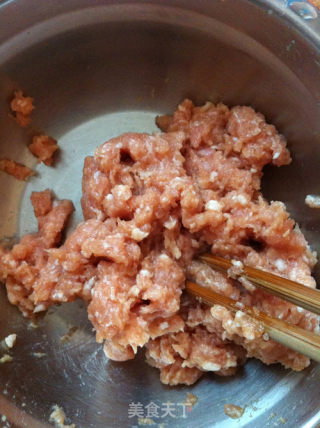 Steamed Oil and Gluten Wrapped Meat recipe