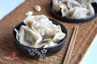 Cabbage Pork Dumplings recipe