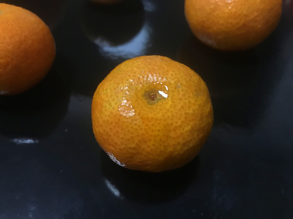 Roasted Oranges recipe