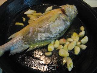 Braised Yellow Croaker recipe